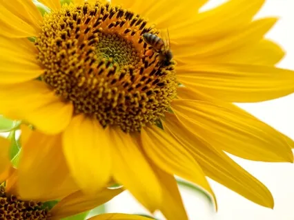 10 Minutes To Happiness!