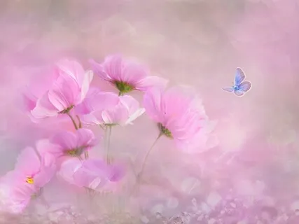 10 Minutes to Mindfulness & Relaxation