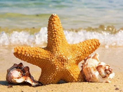 10 Minutes To Mindfulness For Insight & Wisdom - Day 2