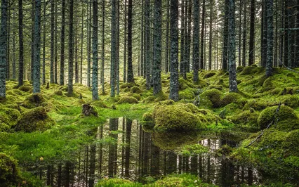 10 Minutes To Relax The Anxious Worrier