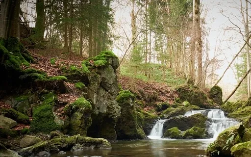 10 Minutes Walking Next To The River