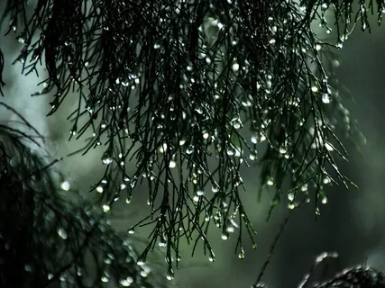 The Rain Of Thoughts | Coming Home To You