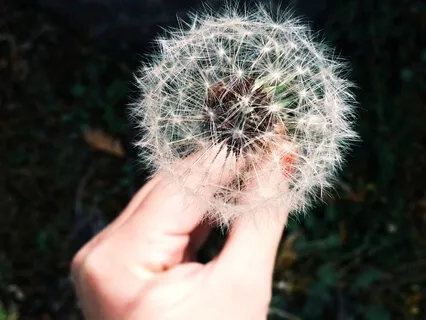 10-Point Meditation For Relaxation