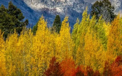 10/10 Portal | Manifest Change