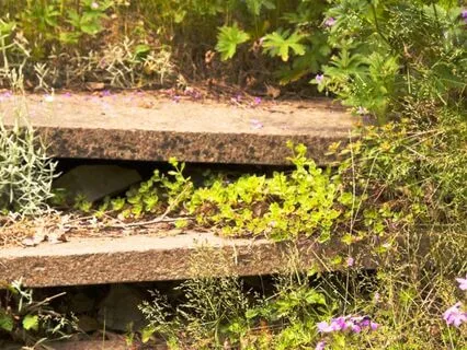 10 Steps To The Garden Of Calm