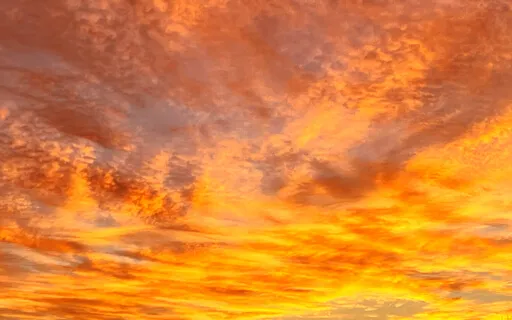 10 Valuable Lessons Learned From Covid