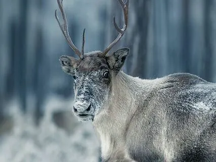 10.  The Power Of Transformation