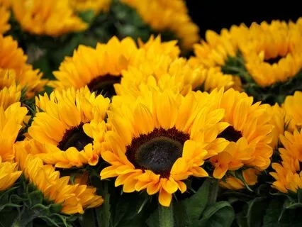 100 Affirmations For A Successful Day