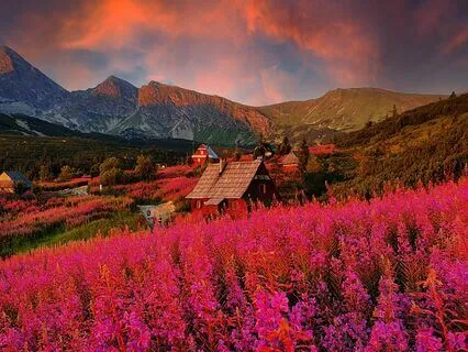 100% Brain Potential Music: Pyramid Theta Waves + Third Eye