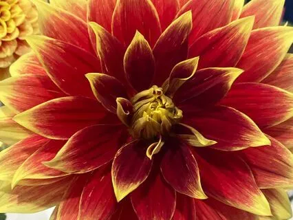 100 Affirmations For Mind, Body, And Spirit