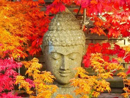 10000 Hz | Instant Third Eye Activation (11 Frequencies)