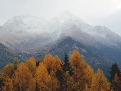 1000HZ - Brain Healing Frequency - Cerebral Neurons