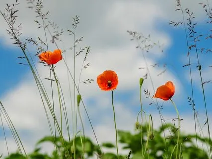 #102 | Best Of | A Map & A Piece Of Paper