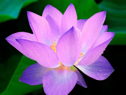 105: How to Cultivate Generosity 