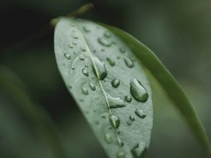 108 Hz - Frequencies For Deep Meditation