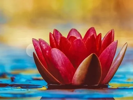 108 Mala Meditation Of Gratitude And Affirmation Of Thanks