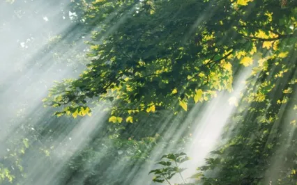 108 OMs Chanted Over Bowed Gong Drone  