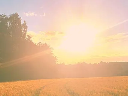 10hr Binaural Green/Brown/Pink Noise For Sleep (Birds+Bees)