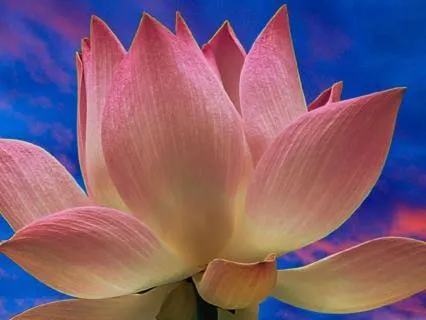 10Hr Stories: Anne Of Green Gables & Emily Of New Moon