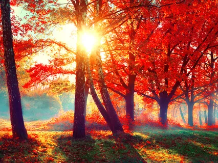 In the Presence Of The Holy Spirit