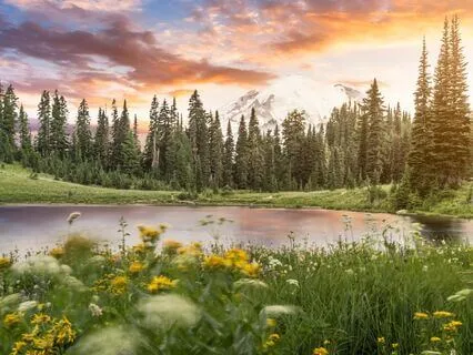 Connection To You: Morning Breathwork