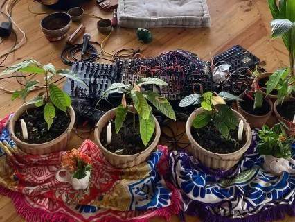 10min deep dive with nature sound and bio music