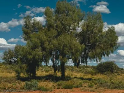 10-Minute Mini Medi; Breath Break