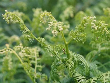 10 Minute Of Relaxing Music