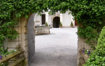 11 11 A Conscious Journey