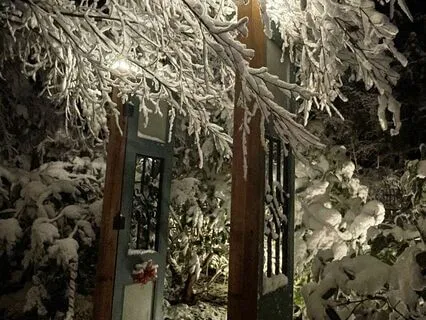 11/11 Cosmic Gateway To Collective Conciousness