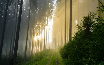 11-11 Meditation: The Portal Of Transformation