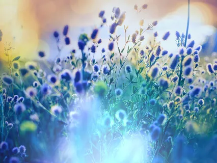 11:11 | Spirit Of Ascension (Extended Version)