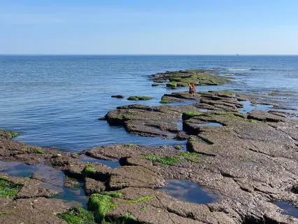 11 Hour Peaceful Rest Loop For Sleep