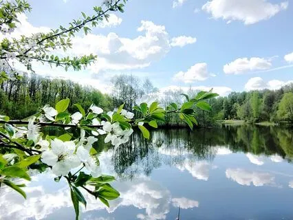 11-Minute Alternative Nostril Breathing