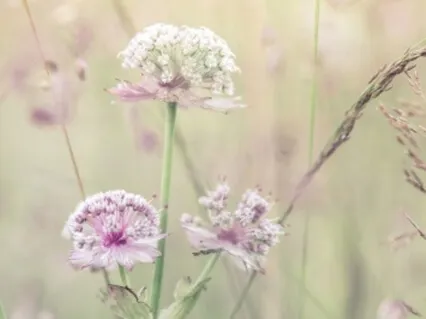 11 Minute Body Scan With Relaxing Background Music