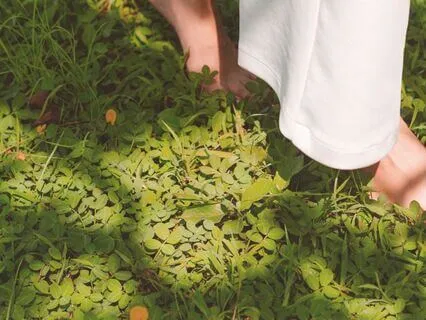 11-Minute Elemental Journey To A Calmer Mind