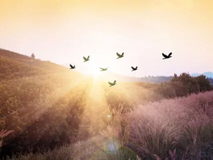 11 Minute Morning Practice