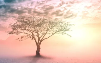 11/11 Portal | Manifest From The Heart