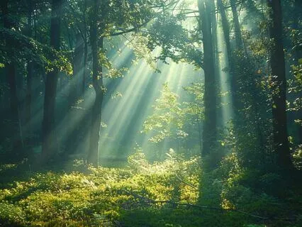 110 Hz Music For Grounding & Releasing Everyday Stress