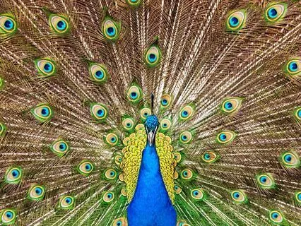 Abundance 111 Affirmations Shower