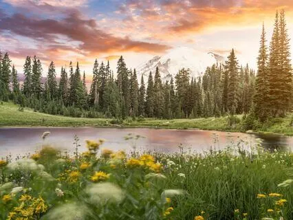 Mother Earth, Father Sun & Elements: 111 Affirmations Shower