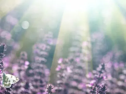 111 Energy Affirmations