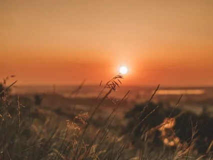 111 Hz – Deep Sleep Music