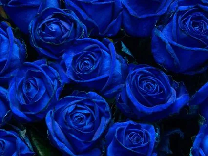 111 Hz for Meditation, Calm & Inner Balance (Long)