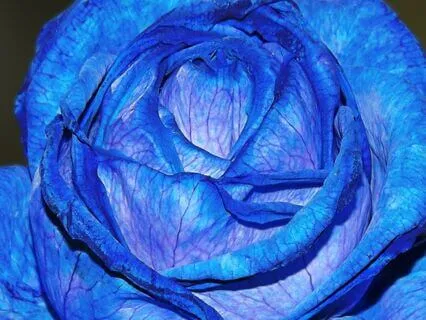 111 Hz for Meditation, Calm & Inner Balance (Short)