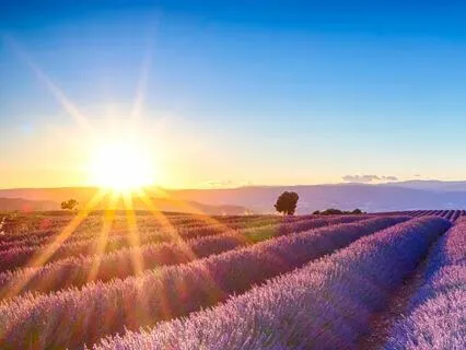 111 Morning Affirmations