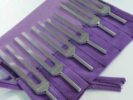 111 Portal Energy | Tuning Fork Group Session (LIVE)