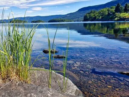 1111 Higher Chakra Renewing Frequency