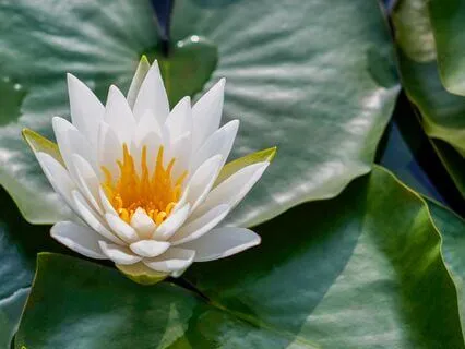 1111 Hz Spiritual Significance