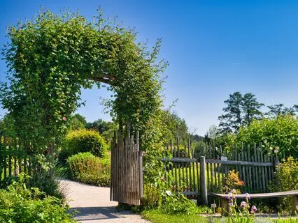 111Hz 11Hz 1Hz | Wish Fulfillment (8D Meditation Music)